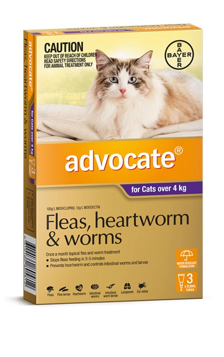 Advocate 80 for sales cats